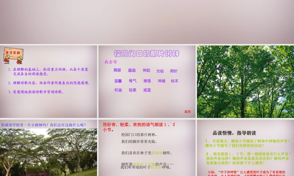 六年级语文上册《校园门口的那片树林》课件1 语文A版-语文A版小学六年级上册语文课件