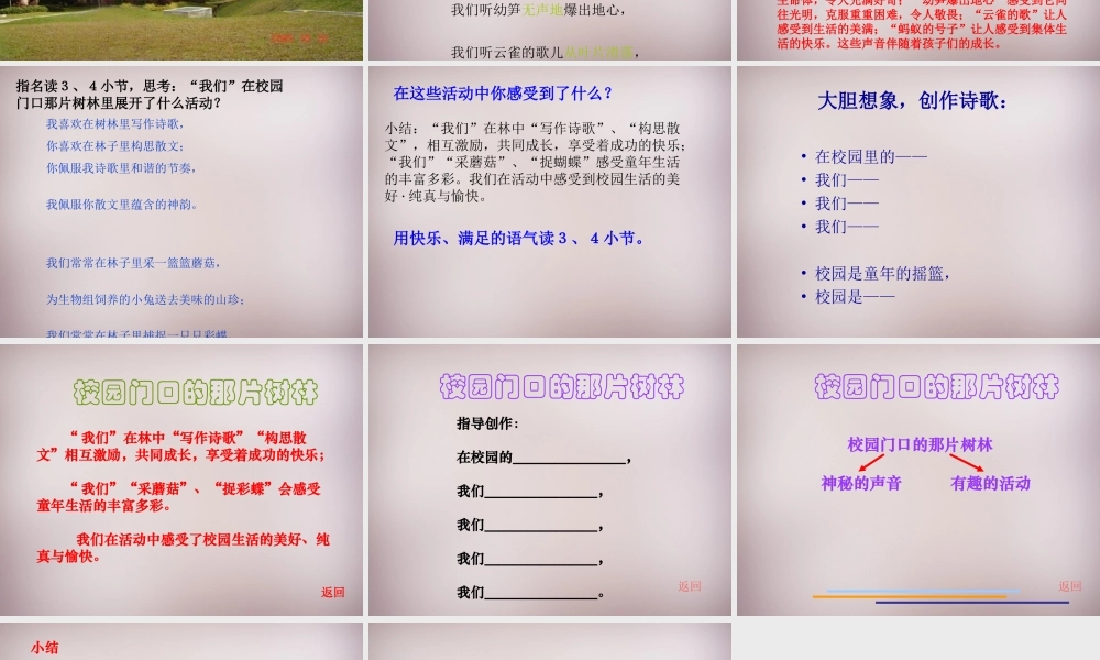 六年级语文上册《校园门口的那片树林》课件1 语文A版-语文A版小学六年级上册语文课件