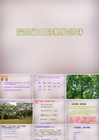 六年级语文上册《校园门口的那片树林》课件1 语文A版-语文A版小学六年级上册语文课件