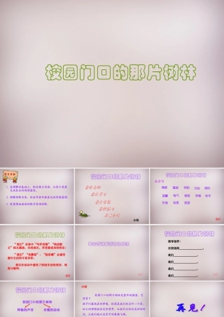 六年级语文上册《校园门口的那片树林》课件2 语文A版-语文A版小学六年级上册语文课件