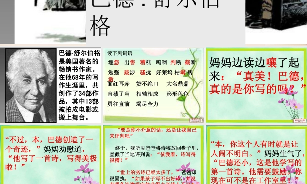 六年级语文上册《“真美”与“真糟”》课件4 长春版-长春版小学六年级上册语文课件