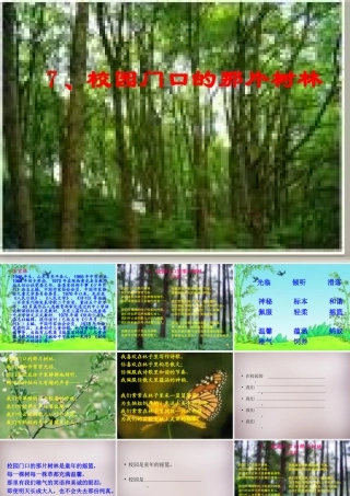 六年级语文上册《校园门口的那片树林》课件3 语文A版-语文A版小学六年级上册语文课件
