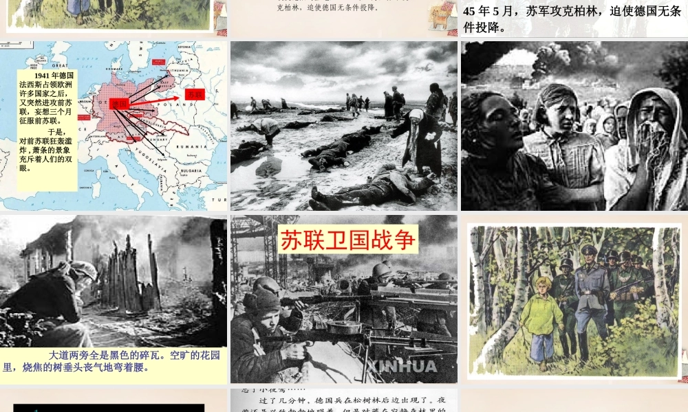 六年级语文上册《夜莺的歌声》课件4 长春版-长春版小学六年级上册语文课件