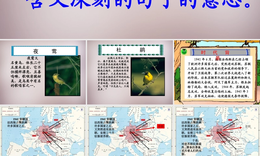 六年级语文上册《夜莺之歌》课件1 语文A版-语文A版小学六年级上册语文课件