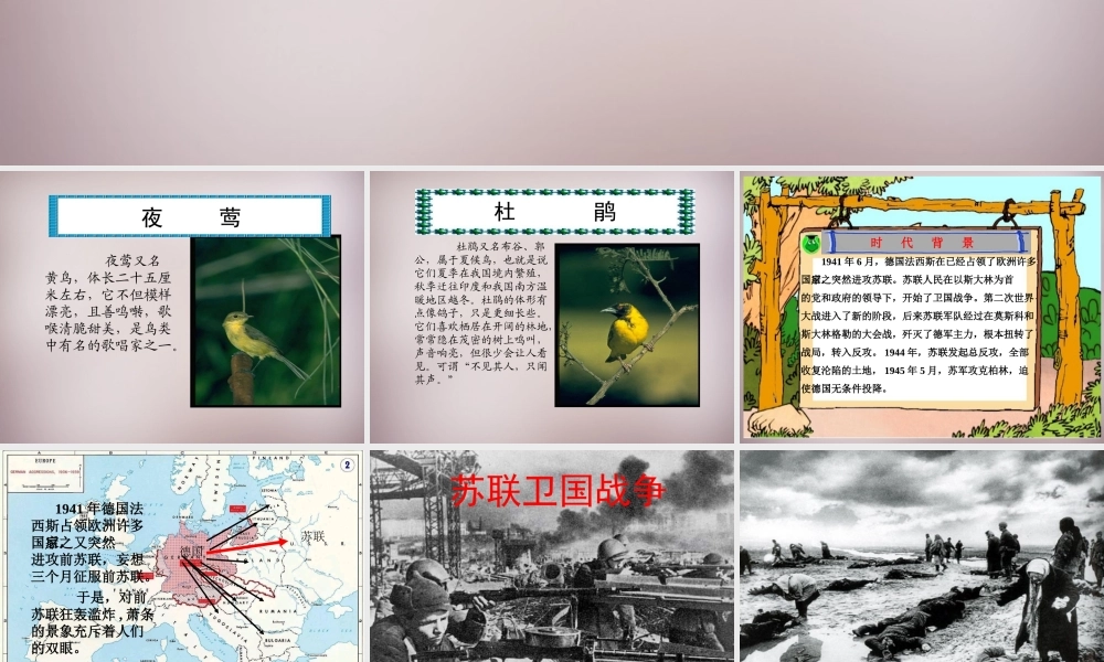 六年级语文上册《夜莺之歌》课件2 语文A版-语文A版小学六年级上册语文课件