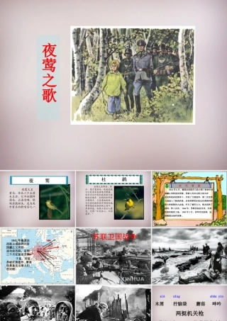 六年级语文上册《夜莺之歌》课件2 语文A版-语文A版小学六年级上册语文课件