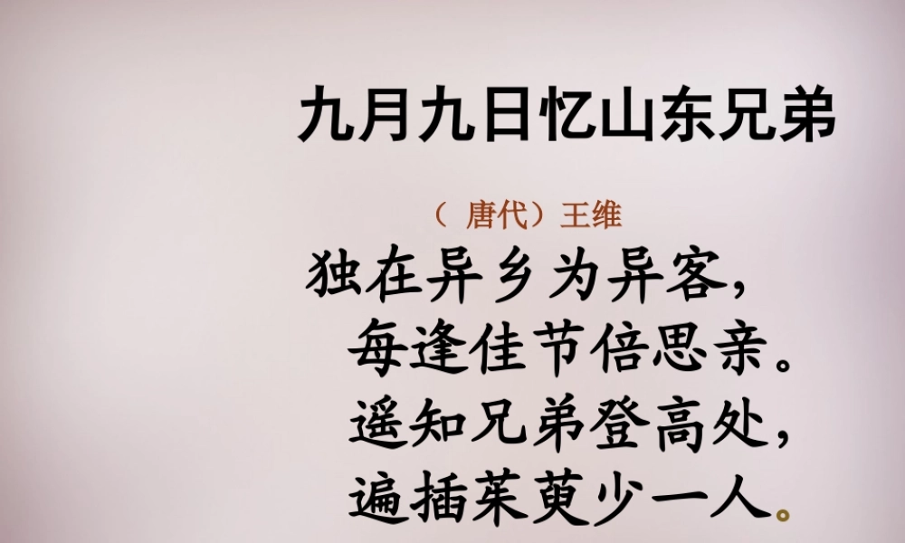 六年级语文上册《九月九日忆山东兄弟》课件1 语文A版-语文A版小学六年级上册语文课件