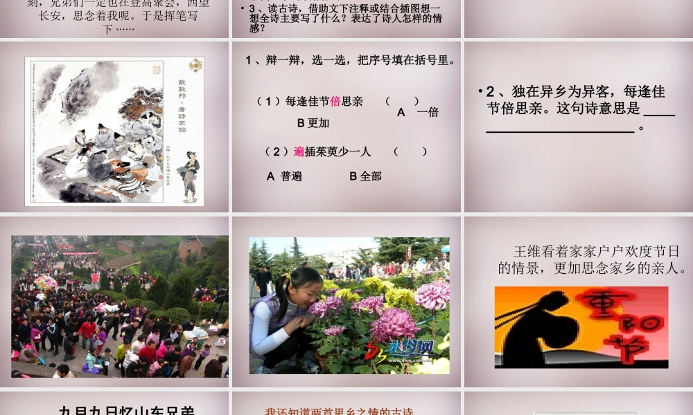 六年级语文上册《九月九日忆山东兄弟》课件1 语文A版-语文A版小学六年级上册语文课件