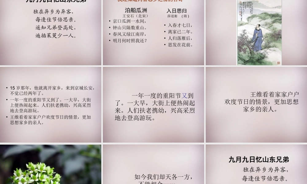 六年级语文上册《九月九日忆山东兄弟》课件1 语文A版-语文A版小学六年级上册语文课件