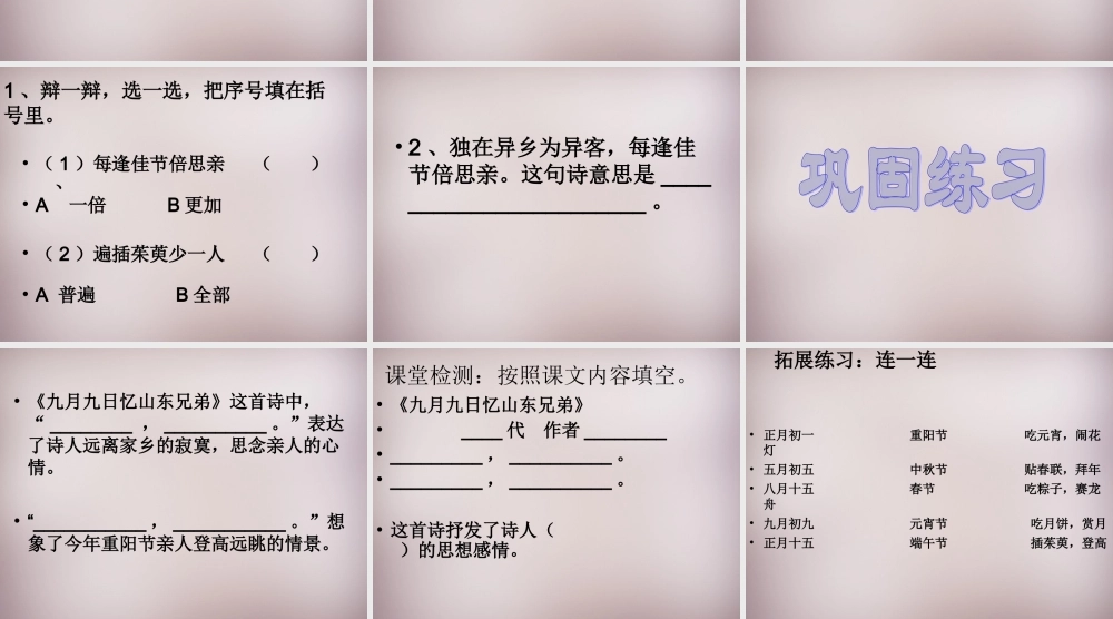 六年级语文上册《九月九日忆山东兄弟》课件3 语文A版-语文A版小学六年级上册语文课件