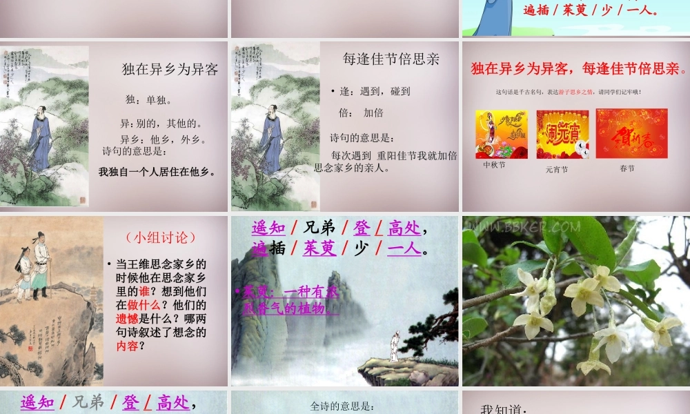 六年级语文上册《九月九日忆山东兄弟》课件4 语文A版-语文A版小学六年级上册语文课件