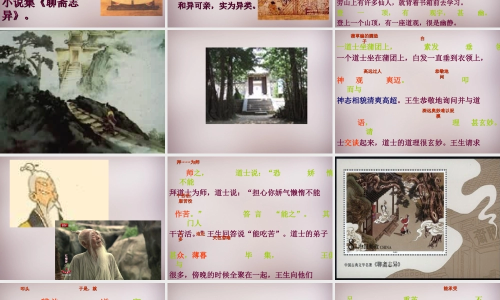 六年级语文上册《劳山道士》课件3 语文A版-语文A版小学六年级上册语文课件