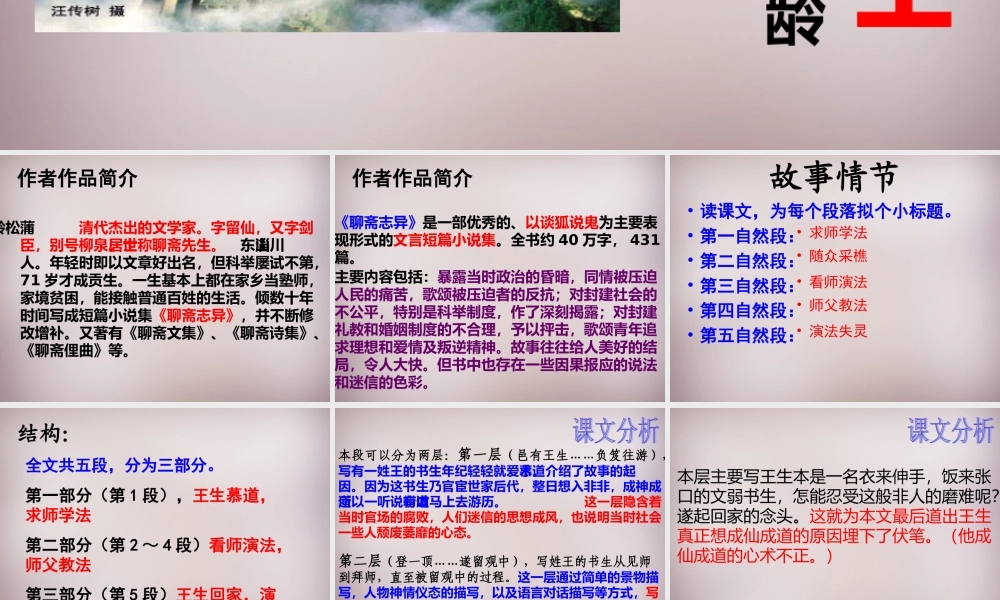 六年级语文上册《劳山道士》课件4 语文A版-语文A版小学六年级上册语文课件