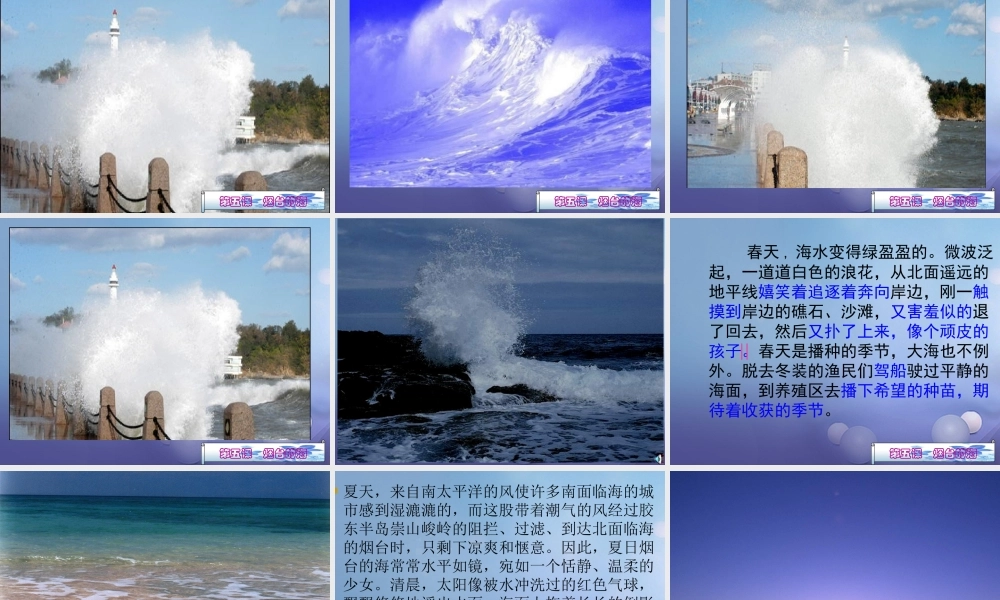 六年级语文下册 1.3《烟台的海》课件 苏教版-苏教版小学六年级下册语文课件
