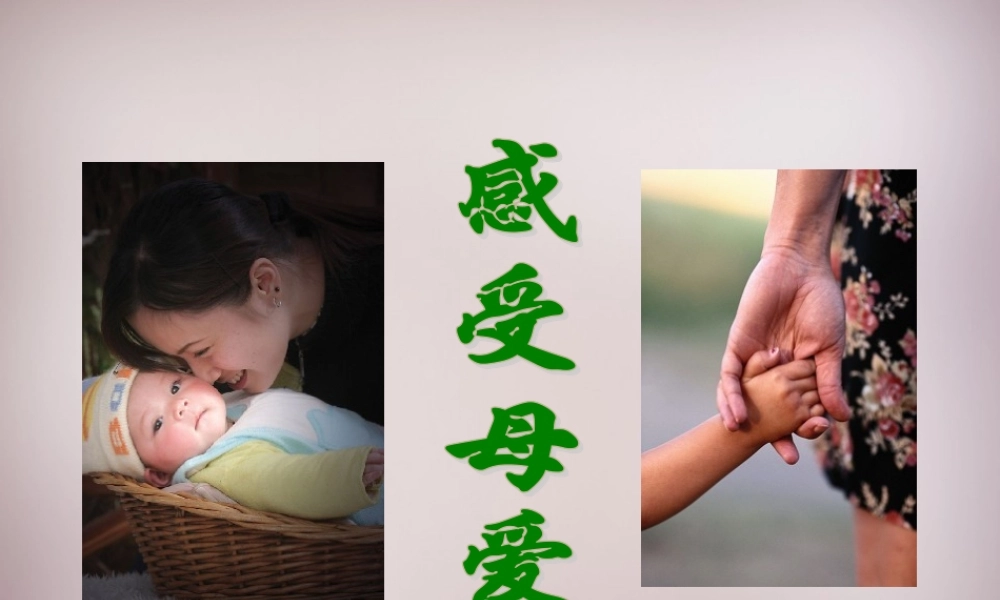 六年级语文上册《七子之歌（节选）》课件1 语文A版-语文A版小学六年级上册语文课件