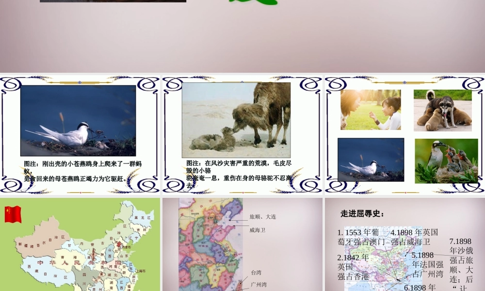 六年级语文上册《七子之歌（节选）》课件1 语文A版-语文A版小学六年级上册语文课件