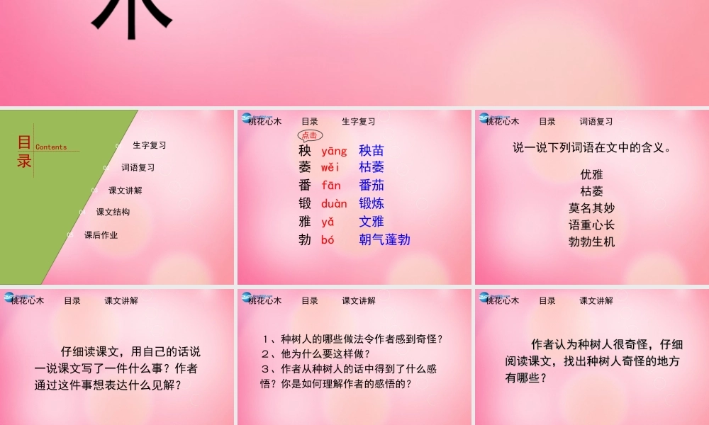 六年级语文下册 3.桃花心木（第2课时）教学课件 新人教版-新人教版小学六年级下册语文课件
