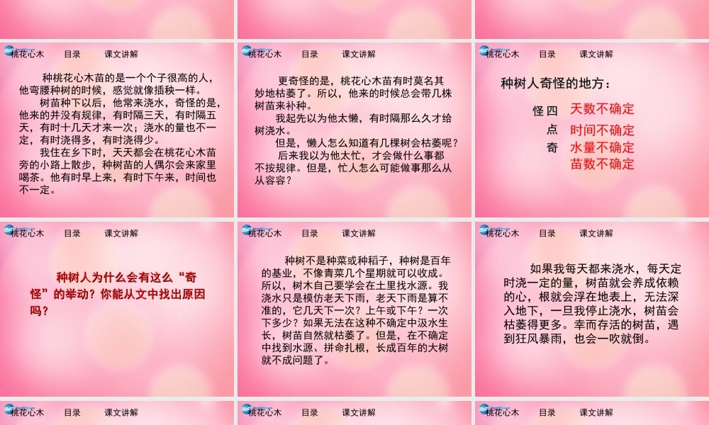 六年级语文下册 3.桃花心木（第2课时）教学课件 新人教版-新人教版小学六年级下册语文课件