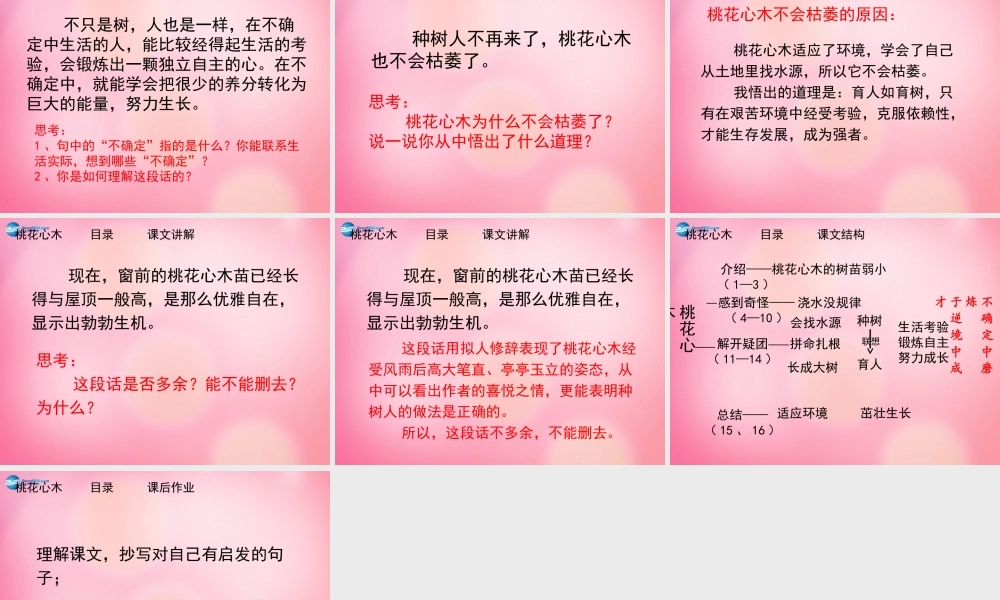 六年级语文下册 3.桃花心木（第2课时）教学课件 新人教版-新人教版小学六年级下册语文课件