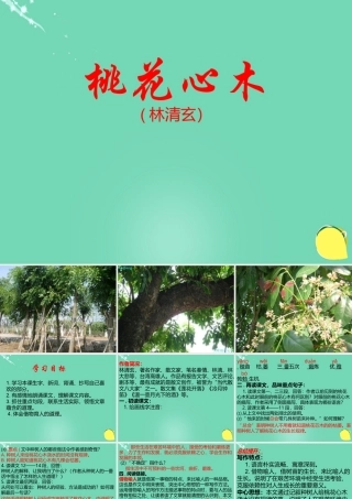 六年级语文下册 3《桃花木心》课件 新人教版-新人教版小学六年级下册语文课件