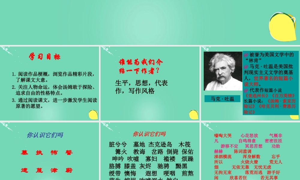 六年级语文下册 17《汤姆索亚历险记》课件 新人教版-新人教版小学六年级下册语文课件
