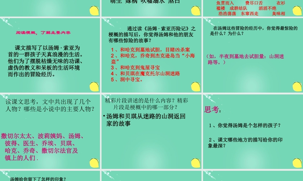 六年级语文下册 17《汤姆索亚历险记》课件 新人教版-新人教版小学六年级下册语文课件