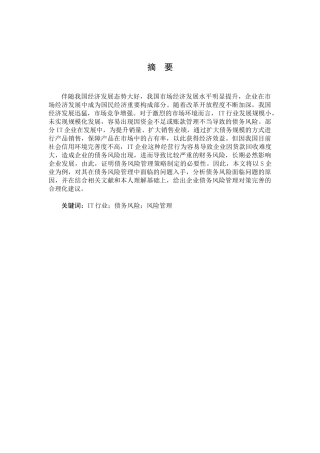 IT行业债务风险管理研究分析 财务会计学专业