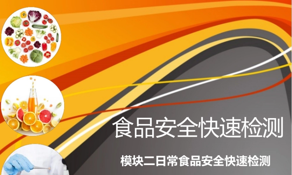 《食品安全快速检测》教学课件—02日常食品安全快速检测
