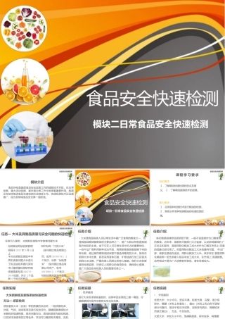 《食品安全快速检测》教学课件—02日常食品安全快速检测