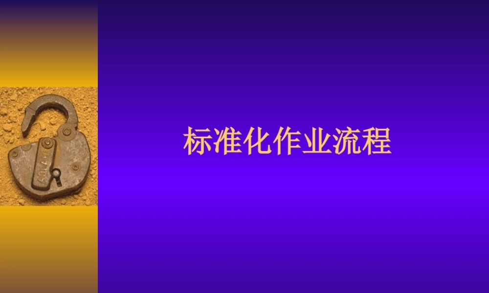 标准化作业流程