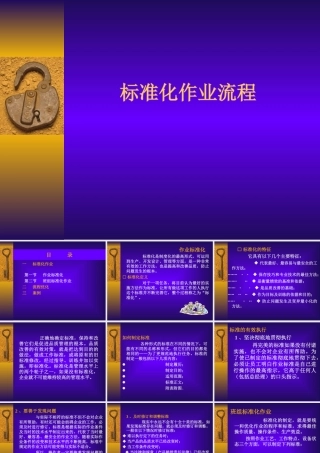 标准化作业流程