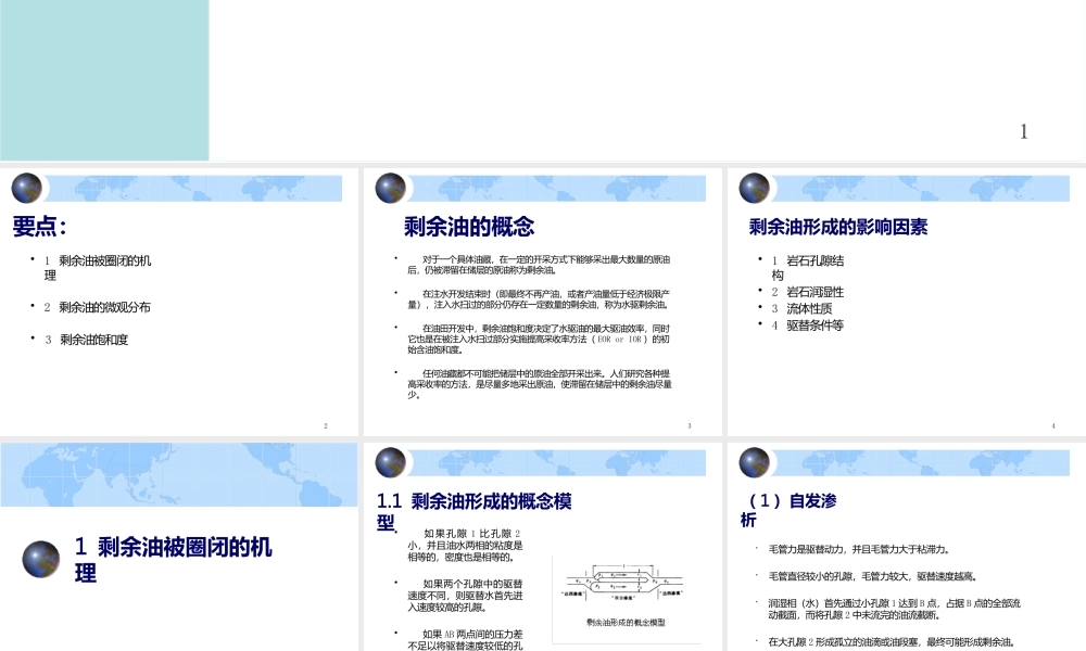 剩余油形成机理及微观分布