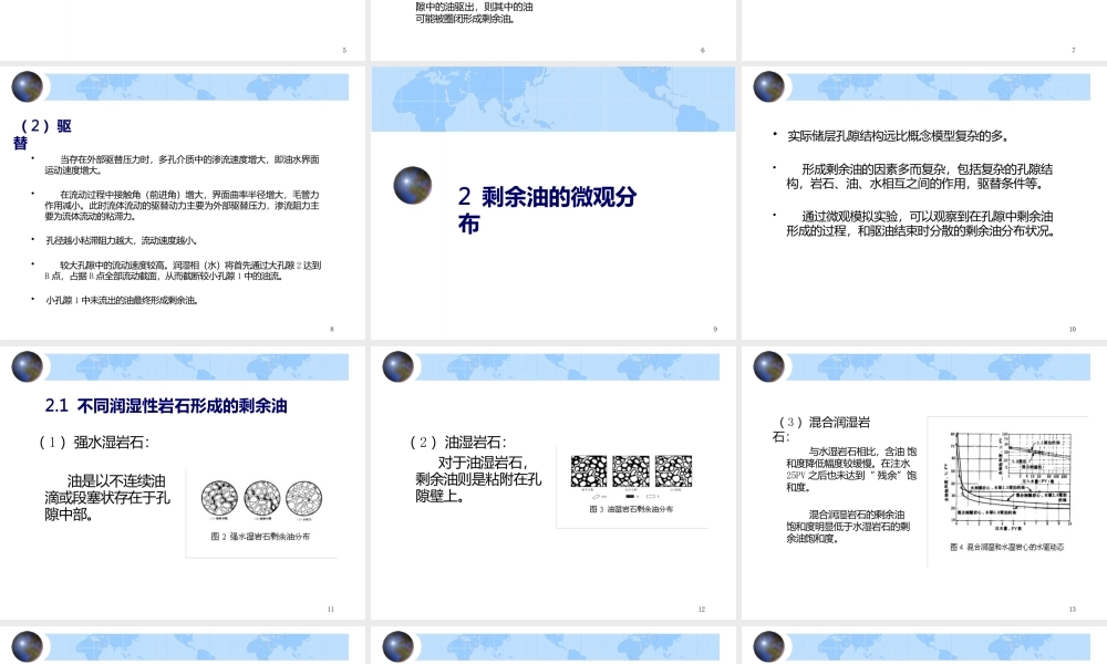 剩余油形成机理及微观分布