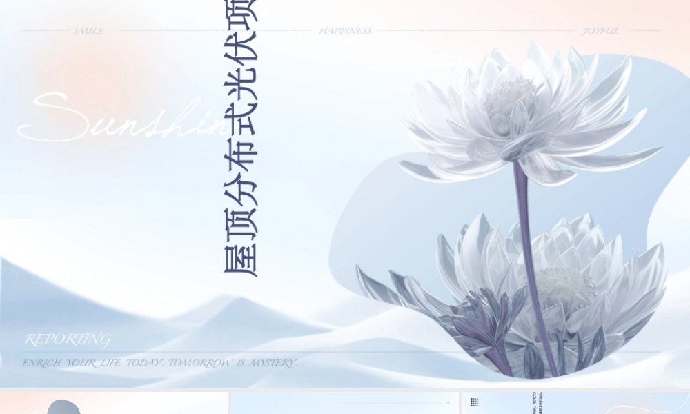 屋顶分布式光伏项目