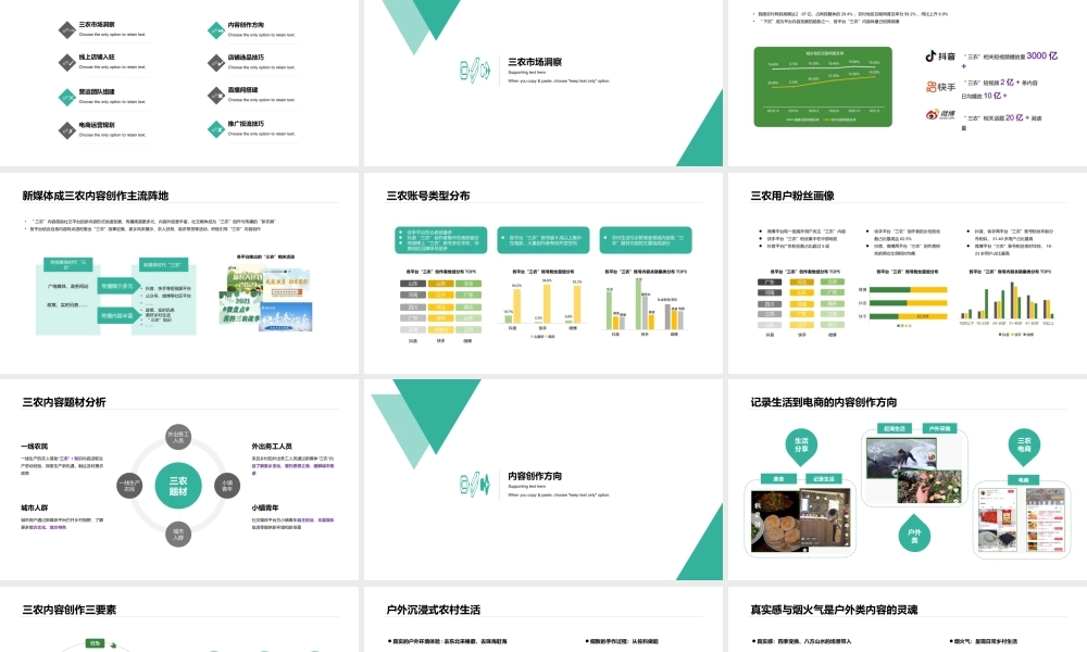 三农产品短视频直播电商带货创业项目计划书