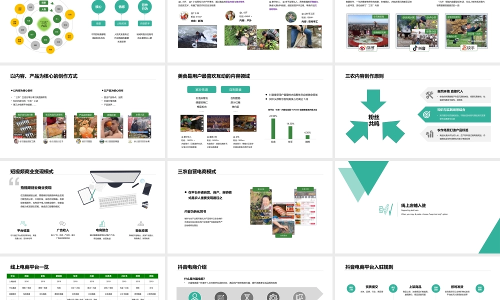 三农产品短视频直播电商带货创业项目计划书