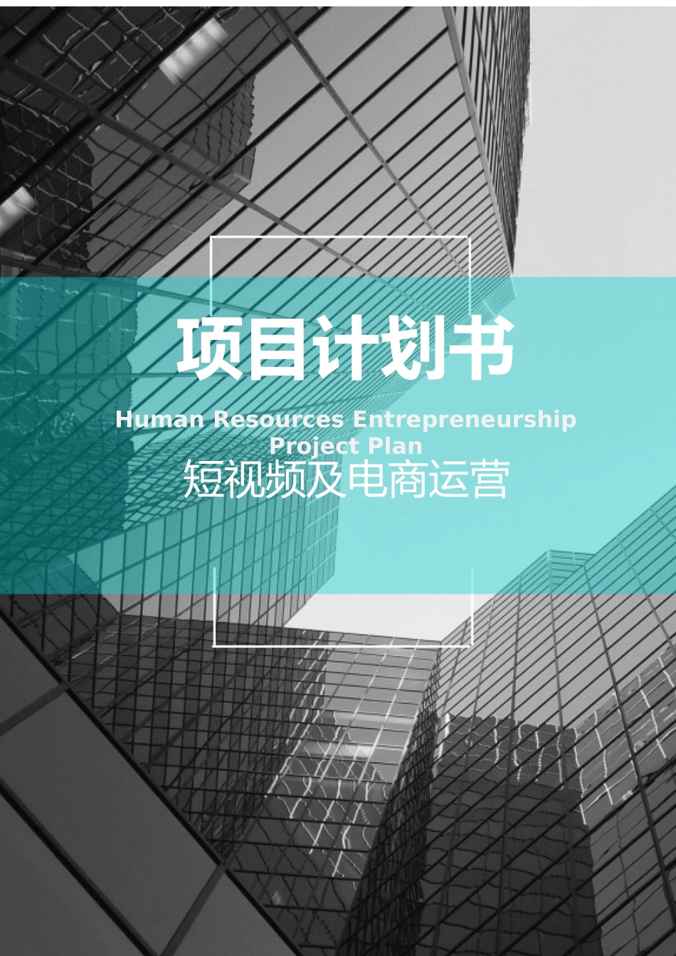 (完整版)短视频及电商运营项目融资商业计划书_第1页