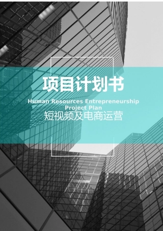 (完整版)短视频及电商运营项目融资商业计划书