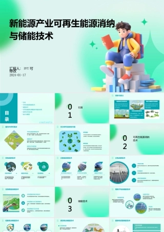 新能源产业可再生能源消纳与储能技术