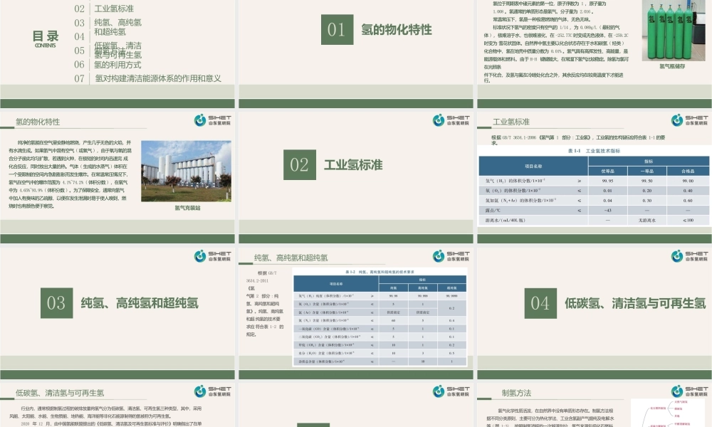 制氢技术与工艺课件全套第1--11章绪论、煤制氢---新能源制氢技术