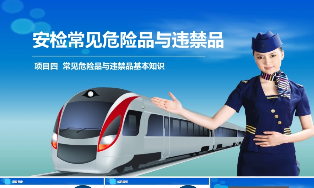 《铁路与轨道交通客运安检实务》课件-04-项目四--常见危险品与违禁品基本知识