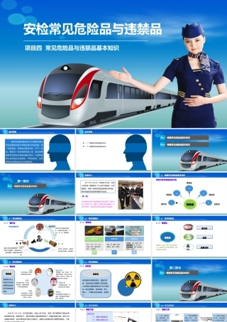 《铁路与轨道交通客运安检实务》课件-04-项目四--常见危险品与违禁品基本知识