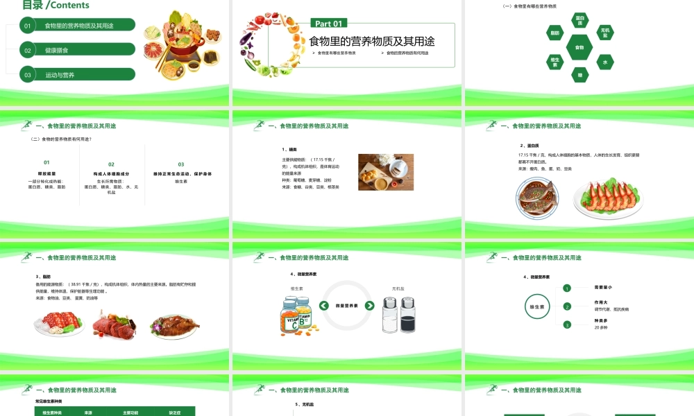 体 育 运 动 与 营 养