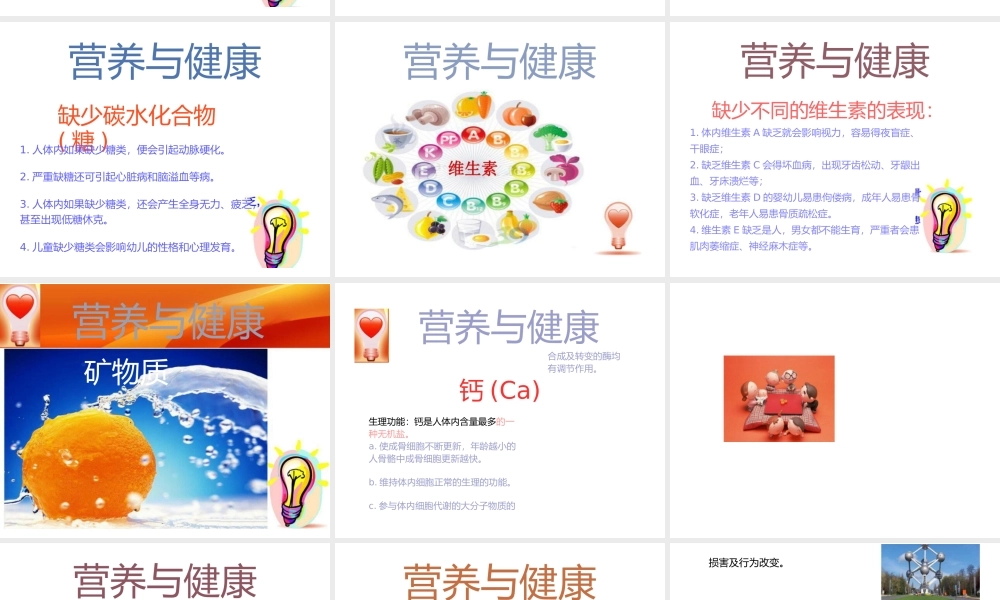 羊养健乐高钙配方羊粉