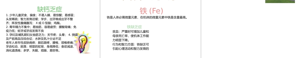 羊养健乐高钙配方羊粉