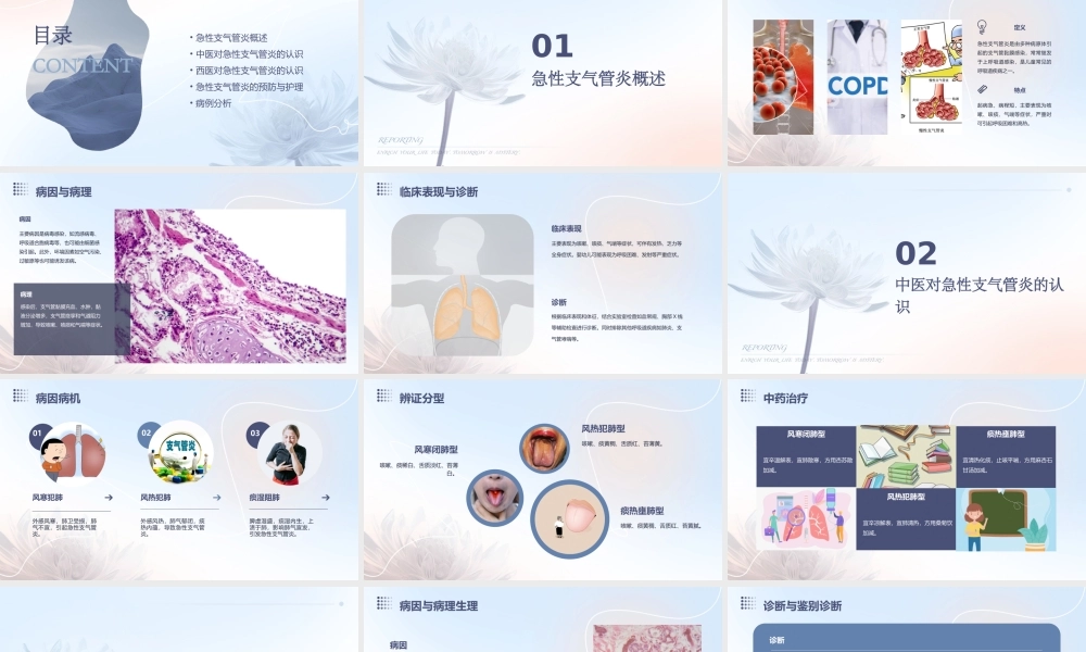 中西医儿科课件急性支气管炎