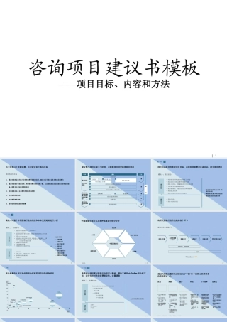 咨询项目建议书模板