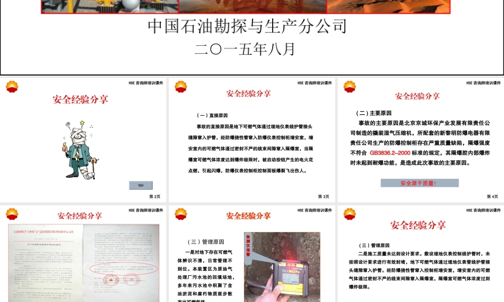 防爆电气基础知识HSE咨询师
