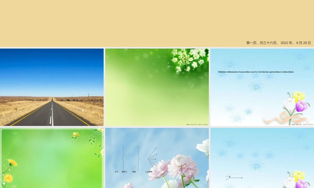 中西医结合儿病毒性心肌炎