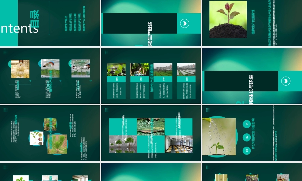 植物生产与环境第1章课件汇总
